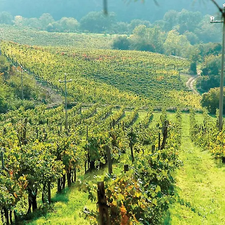 2 Bedroom In * Dicomano